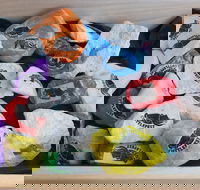 Cuttle-Rock Challenge - CUTTLEFEST 2020 - Whyalla - Events Australia