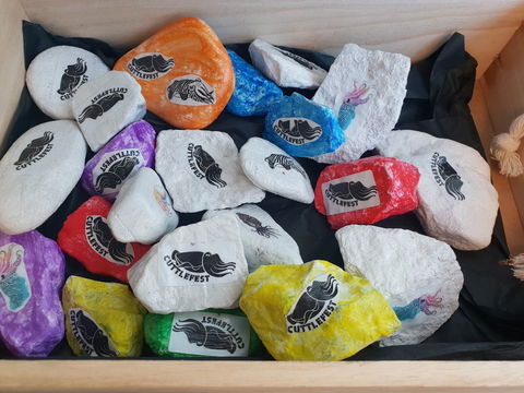 Cuttle-Rock Challenge - CUTTLEFEST 2020 - Whyalla - Events Australia 0