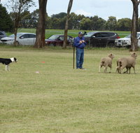 Dean Sheepdog Trials - Old Sniff Classic - Tourism Bookings