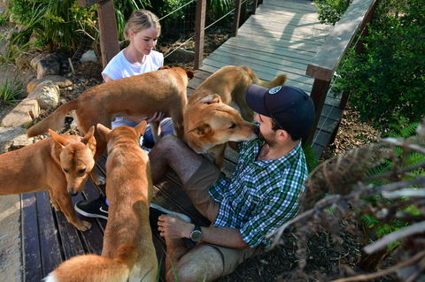 Dingo Den Discovery Experience - Events Australia 1