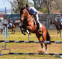 Glen Innes Pastoral and Agricultural Show - Tourism Bookings