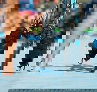 Gold Coast Triathlon Training - Accommodation Europe