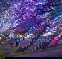 Grafton Jacaranda Festival - Events Australia
