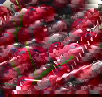 Griffith Rotary Market - Events Australia