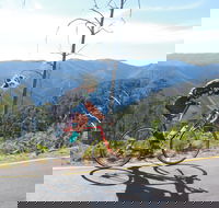 High Country Women's Cycling Festival - Events Australia
