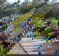 Husky Half Running Festival - Events Australia