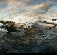 IRONMAN 70.3 Western Australia - Events Australia