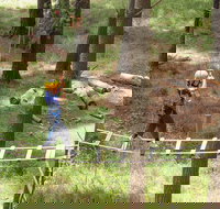 July 2020 Holidays- Go Wild at the Mt Lofty Adventure Hub - Events Australia