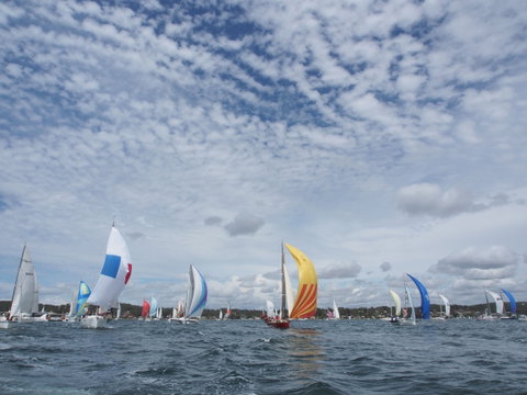Lakefest - Tourism Bookings 5