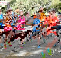 MAAS Group Dubbo Stampede Running Festival - Events Australia