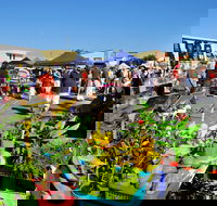 Maclean Macmarket Day - Events Australia