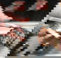 Meat BBQ Cooking Class - Events Australia