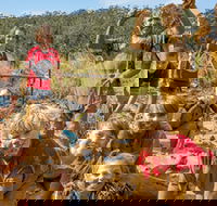 Mini Muddies Obstacle Challenge at Bunnamagoo Estate - Events Australia