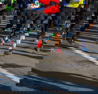 Moruya Town to Surf Fun Run - Events Australia