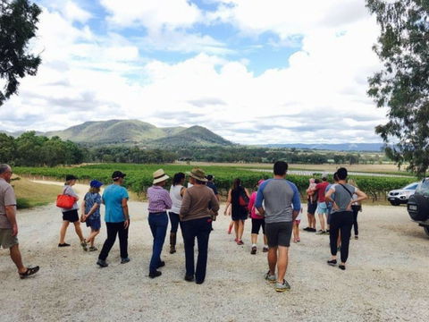 Mudgee Farm Walks - Events Australia 1