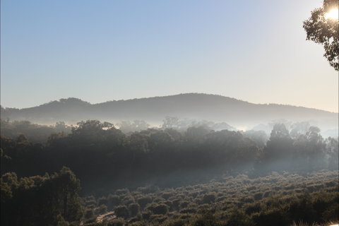 Mudgeeque - Events Australia 0