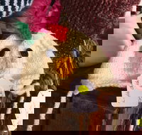 Murrindindi Beanie  Fibre Festival Online - Events Australia