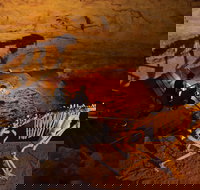 Naracoorte World Heritage Festival and Run - Events Australia