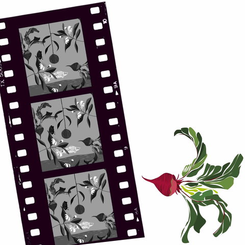 Oseanica Film Project - Events Australia 0