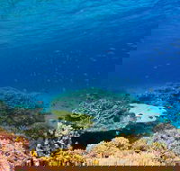 Recovery of the Great Barrier Reef - Events Australia