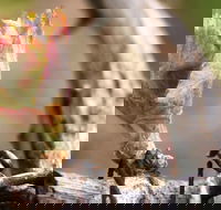 Spring Seasonal Lunch - Events Australia