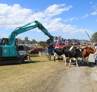 SteamFest 2021 - Tourism Bookings