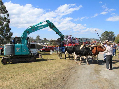 SteamFest 2021 - Tourism Bookings 0