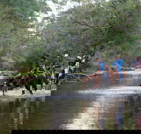 The Man From Snowy River Bush Festival - Events Australia