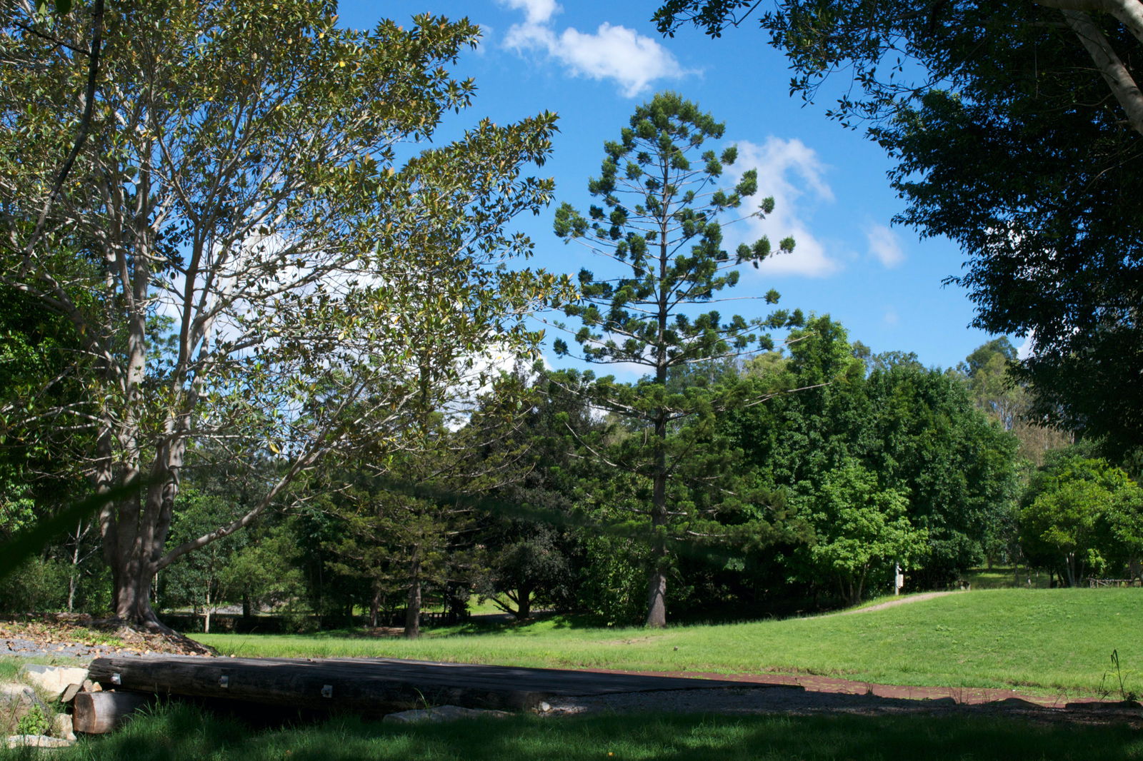 Cedarton QLD Events Australia