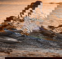 The Bay Games - Jervis Bay - Events Australia