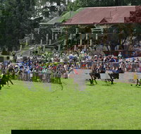Tumut Boxing Day Races - Events Australia