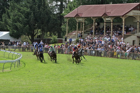 Tumut Boxing Day Races - Events Australia 0