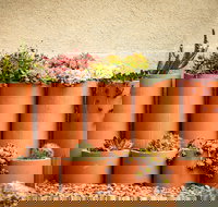 Tumbarumba Spring Flower Festival - Events Australia