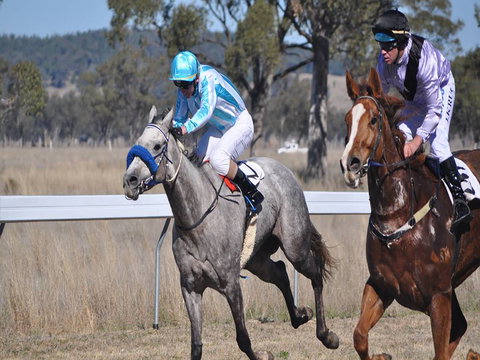 Wean Picnic Races - Events Australia 0