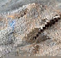 2020 Katherine Bird Festival - Events Australia