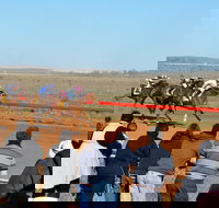 2020 Quorn Cup - Events Australia