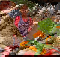 Albany Farmers Market - Events Australia