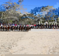 Australian Campdraft Association National Finals Campdraft 2021 - Events Australia