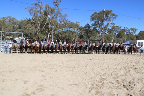 Australian Campdraft Association National Finals Campdraft 2021 - Events Australia 0