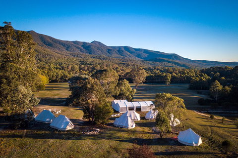 A Wild Night Out - Spring - Events Australia 5