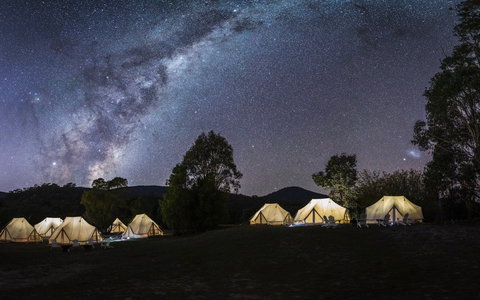 A Wild Night Out - Spring - Events Australia 6