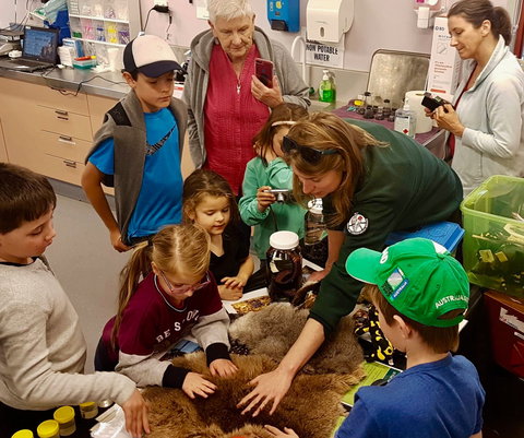 A Wild Night Out - Spring - Events Australia 7