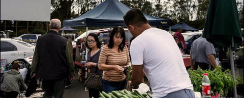 Blacktown Markets - Events Australia 0