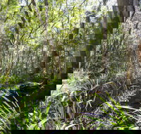 Bottlebutt Bash Trail Run - Tourism Bookings