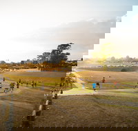 Campbelltown ParkRun - Events Australia