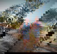 Cape Pallarenda Trail Run 2020 - Tourism Bookings