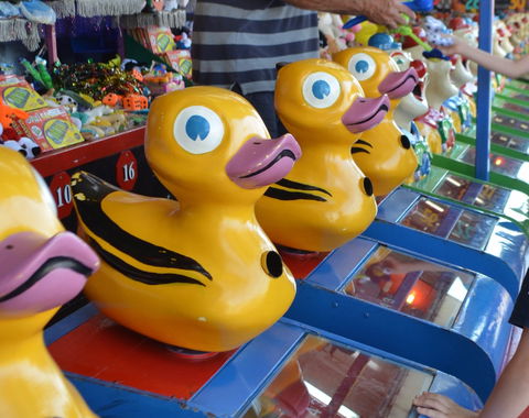 Casino Agricultural Show - Events Australia 0