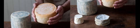Cheese Making Basics Class - Events Australia 0