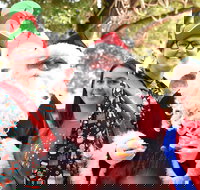 Christmas on the Plains - Quirindi - Events Australia