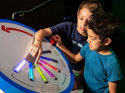 Colour: See The World In A New Light - Events Australia 2